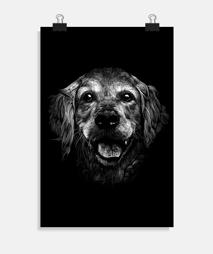 Poster golden retriever disegno raro e artistico.