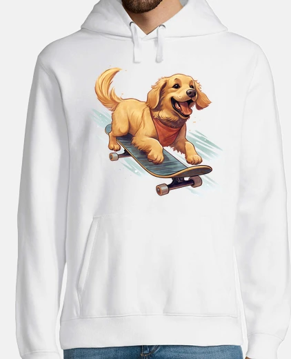 Hoodie golden retriever puppy skateboard skate