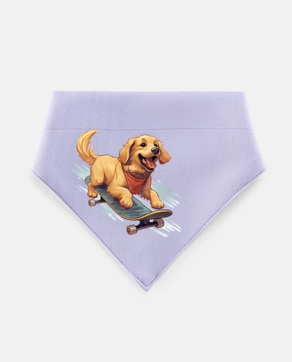 Mascotas golden retriever puppy skateboard skate