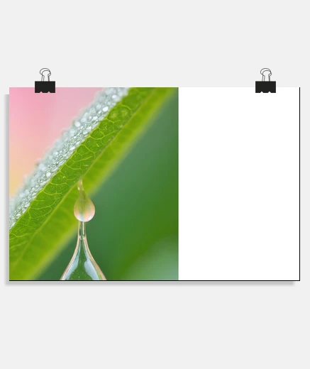Póster gota de rocío naturaleza colorido vida 
