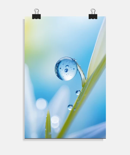 Póster gota de rocío naturaleza colorido vida 
