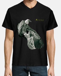 gray griffon vulture - mas de bunyol