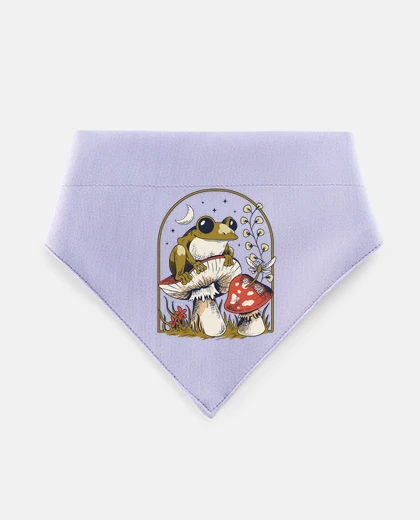 Mascotas grenouille sur un champignon cottage