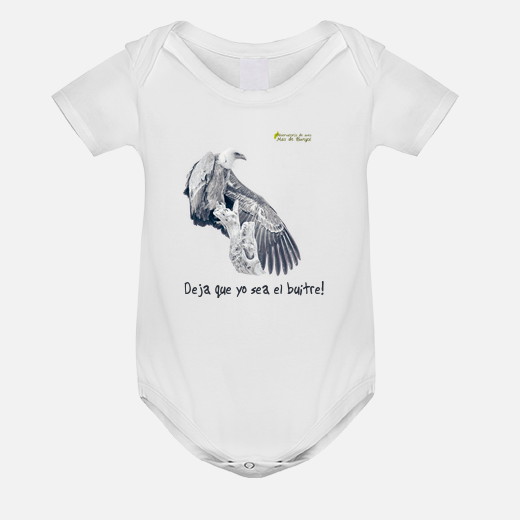 griffon vulture - baby vulture
