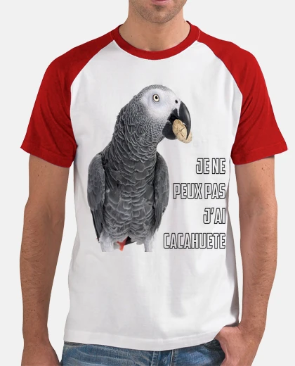 Tee-shirt Gris du Gabon
