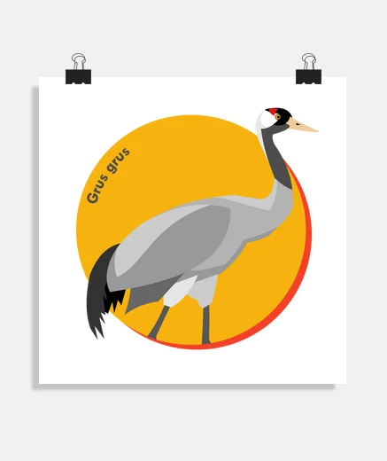 Poster gru comune - grus grus