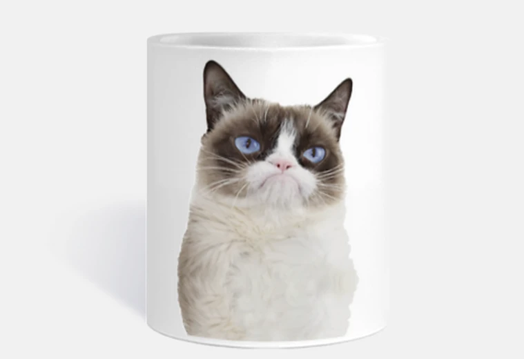 Cup grumpy cat