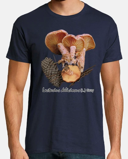 H Lactarius deliciosus