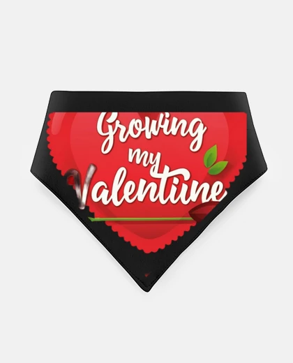 Mascotas haciendo crecer mi embarazo de baby shower de san valentín