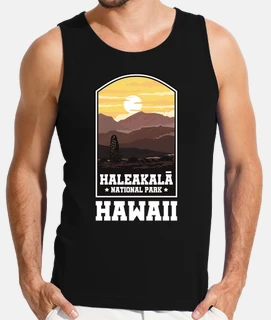 haleakal national park hawaii mountain