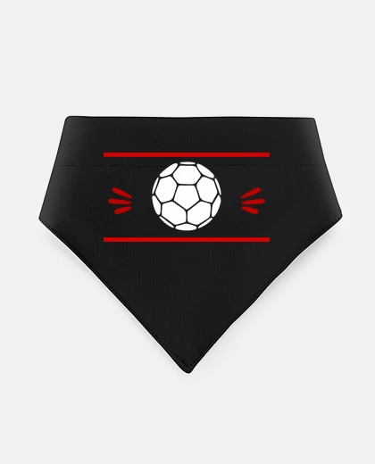 Mascotas handballhandball playerhandball team