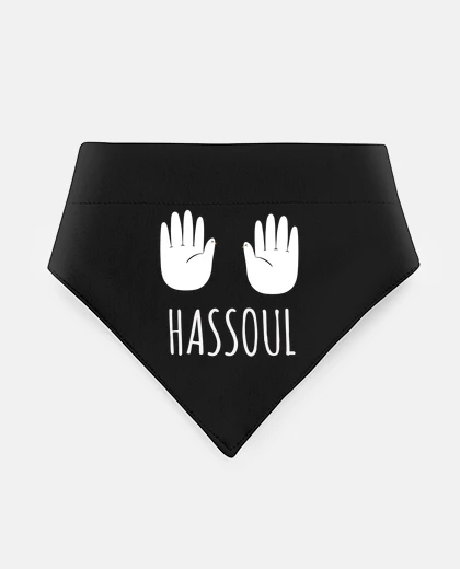 Mascotas hassoul doggy cat