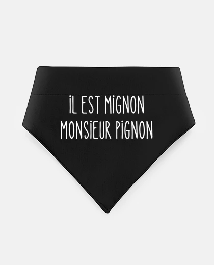 Mascotas he is cute mr pinion