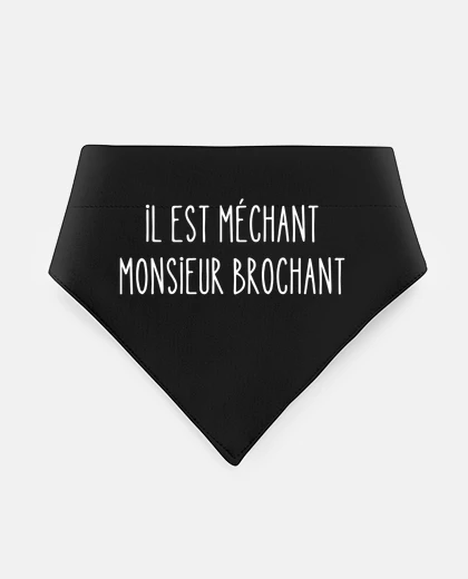 Mascotas he is naughty mister brochant
