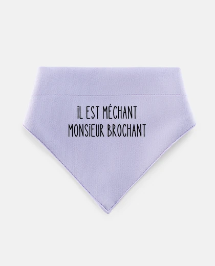 Mascotas he is naughty mister brochant