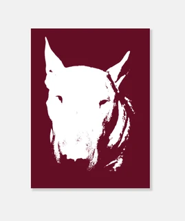 Head bull terrier