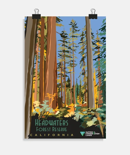 Poster Headwaters Forest Reserve