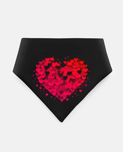 Mascotas hearts in love love heart wedding