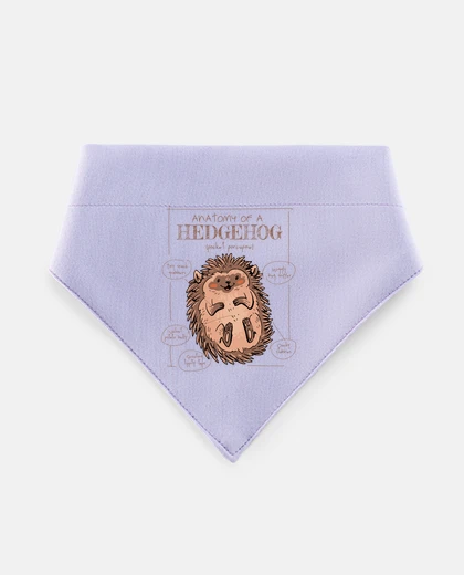 Mascotas hedgehog choupisson funny anatomy
