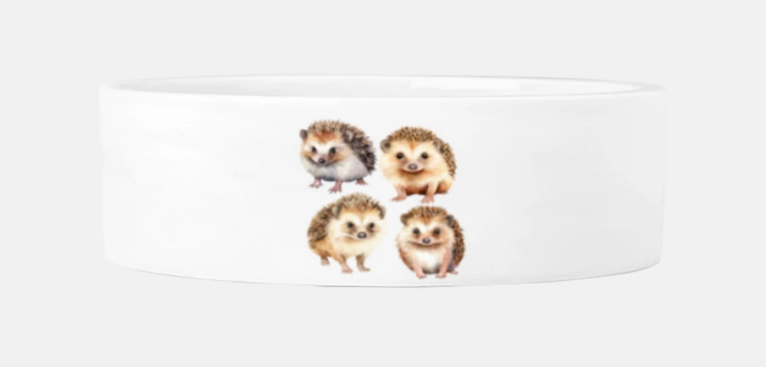 Mascotas Hérissons trop mignons