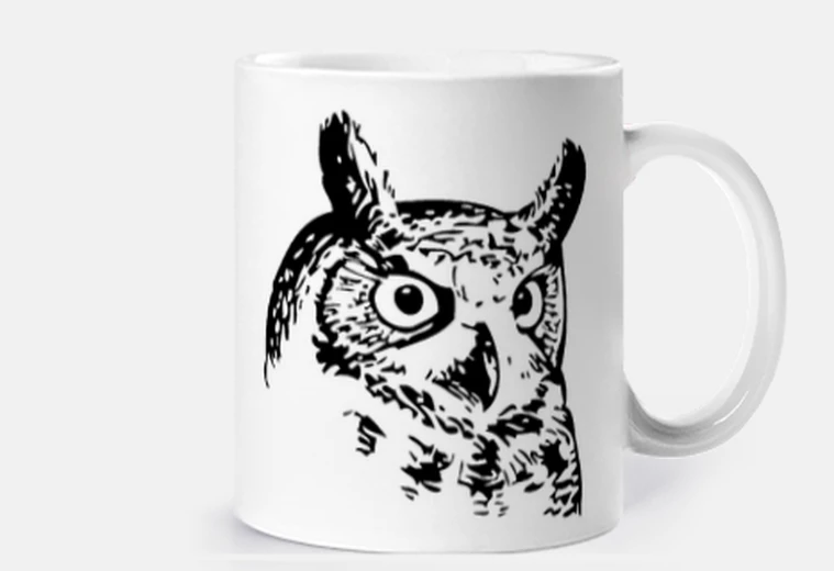 Mug hibou