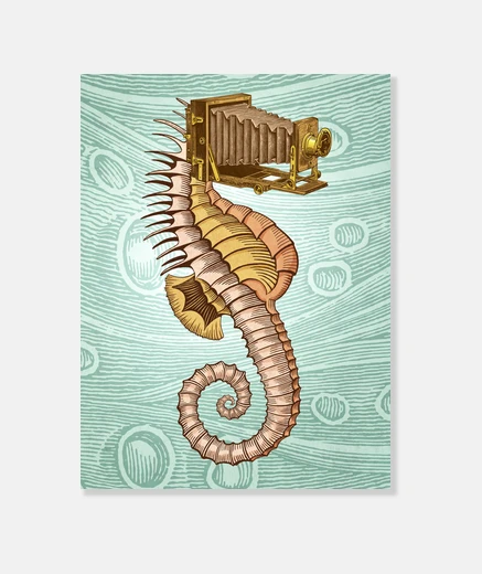 Wall hippocampus camerarum