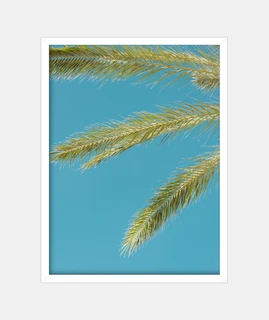 Hojas de palmera