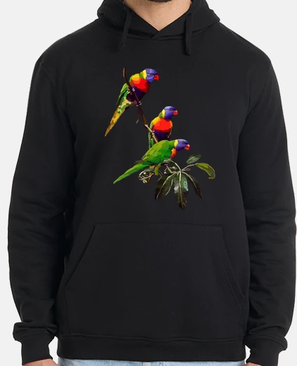 Sudadera Hombre, jersey con capucha, negro