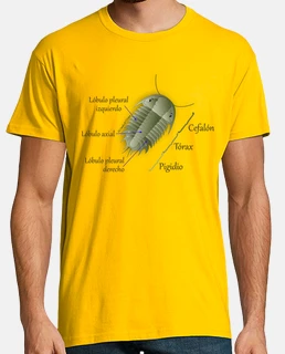 Hombre, manga corta, amarillo limón, calidad extra