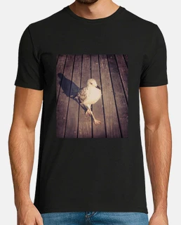 homme mouette modèle chemise