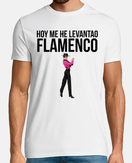 Hoy me he levantao flamenco