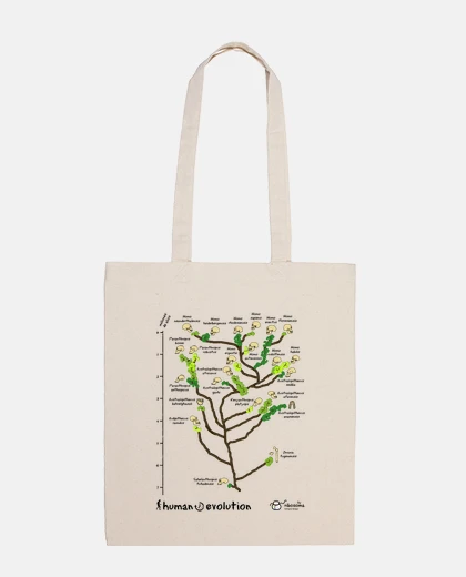 Bolsa Human ⌛ Evolution
