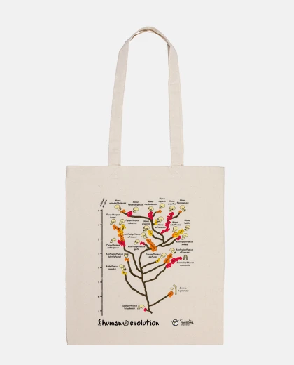 Bolsa Human ⌛ evolution