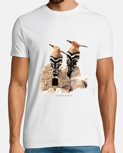 Tee-shirt huppes