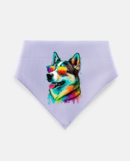 Mascotas Husky Siberiano