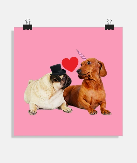 Poster i cani amore il cuore del bassotto carl