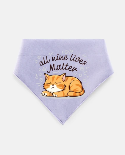 Mascotas i gatti contano troppo carino miao