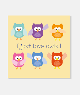 i just love owls!