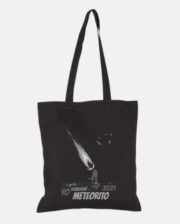 I survived the 2021 meteorite
