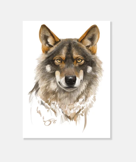 Wall Iberian wolf 1