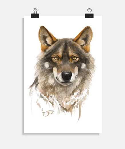 Poster Iberian wolf 1