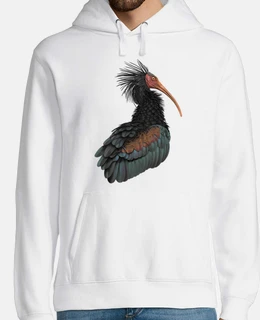 ibis eremita
