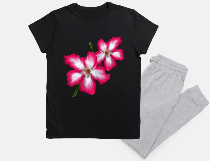 Pajama ibiscus flower juice flower bissap karkade night sleep