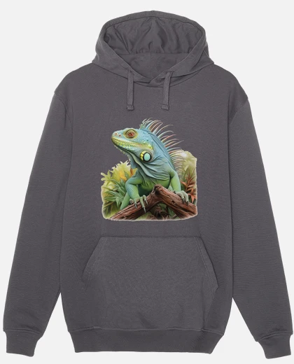 Iguana Sudadera con capucha Iara Gris | Trekkinn Iguana Sudadera con capucha Iara Gris | Trekkinn
