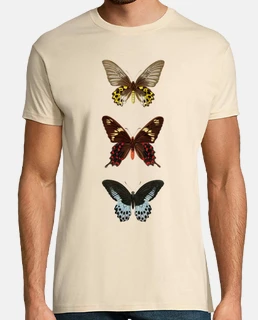 ii papillons
