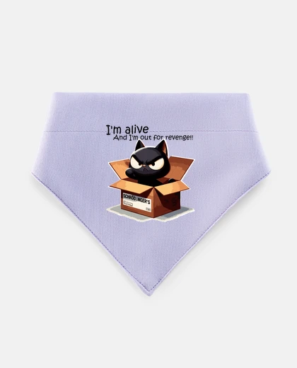 Mascotas il gatto schrödinger