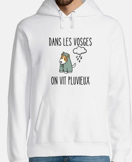 in the Vosges we live in rain