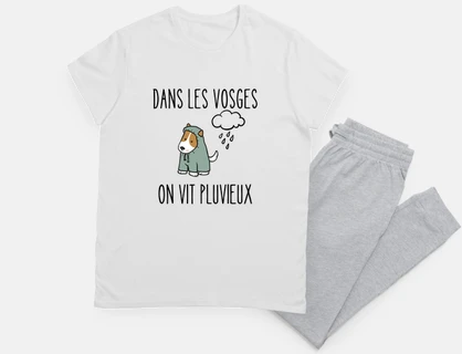 in the Vosges we live in rain