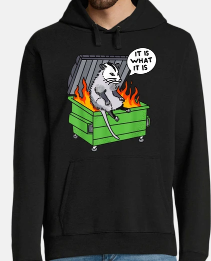 Hoodie It is what it is Possum Dumpster Fire