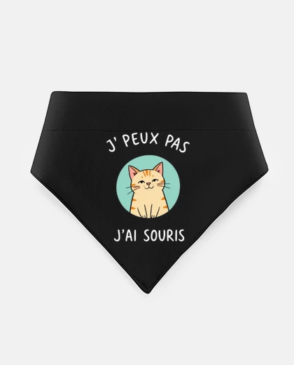 Mascotas j peux pas chat souris humour drole fun